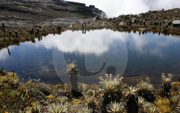 Paramo de Suamapaz. FOTO Donaldo Zuluaga