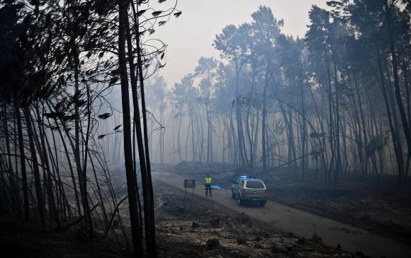 FOTO AFP FOTO AFP