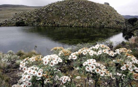 Santos anuncia delimitación del páramo de Sumapaz, el más grande del mundo Santos anuncia delimitación del páramo de Sumapaz, el más grande del mundo