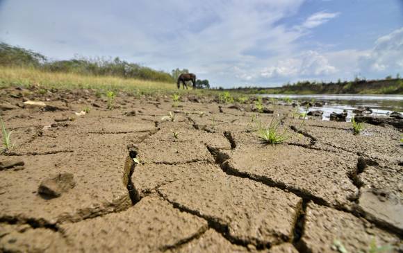 Desde hace un par de semanas el río Cauca está en alerta roja. Se advierte de desabastecimiento de agua en Cali. FOTO colprensa