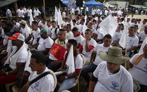 Un dominicano entre extranjeros integraban FARC — REPÚBLICA DOMINICANA