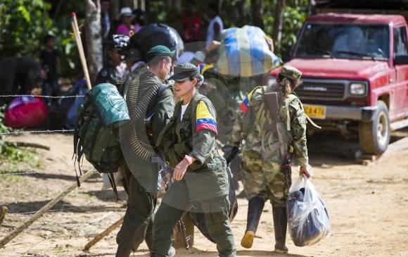 Censo establece que 16 ecuatorianos militan en FARC Censo establece que 16 ecuatorianos militan en FARC
