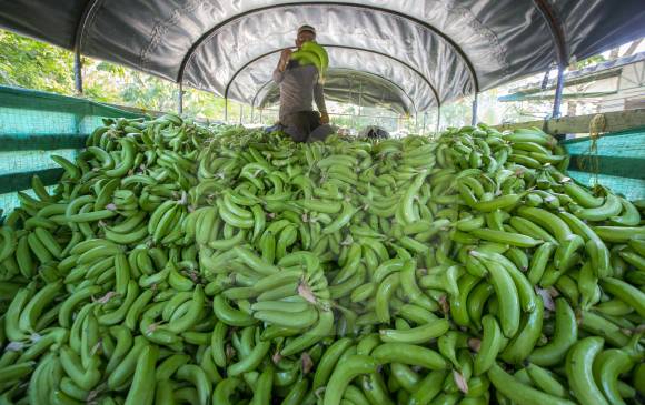 En Octubre de 2017 exportaciones subieron 15,1% — Economía En Octubre de 2017 exportaciones subieron 15,1% — Economía