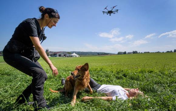 Los drones aumentan la eficacia de los operativos con perros. FOTO AFP Los drones aumentan la eficacia de los operativos con perros. FOTO AFP