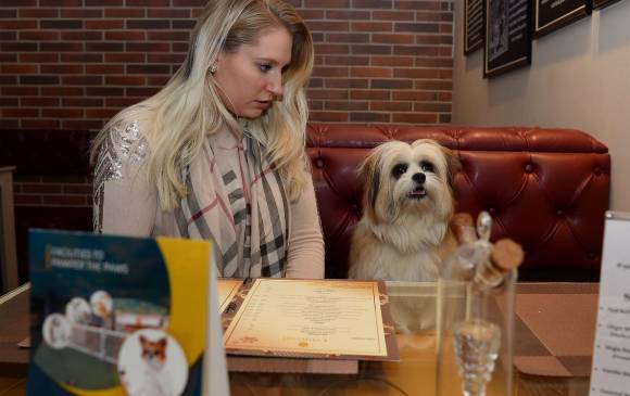 Así es Critterati, el primer hotel de lujos para perros en India. FOTO AFP Así es Critterati, el primer hotel de lujos para perros en India. FOTO AFP