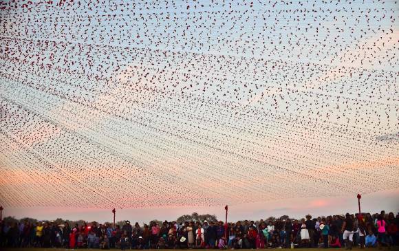 Una de las postales que dejó la fiesta a la que todo México quería asistir. FOTO AFP Una de las postales que dejó la fiesta a la que todo México quería asistir. FOTO AFP