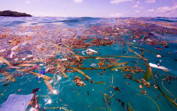 Islas de basura, grave fenómeno que la humanidad hizo común