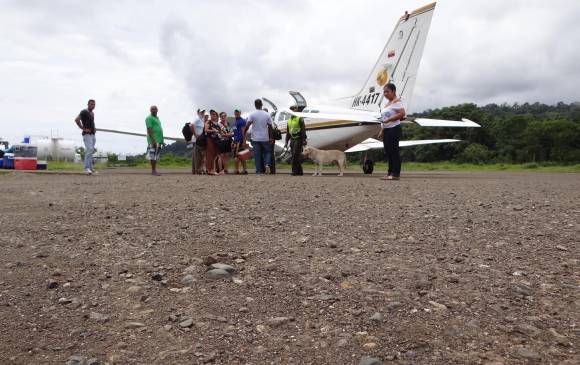 ADA toma pista para volar alto