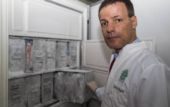 El banco de cerebros que se ubica en instalaciones de la Universidad de Antioquia es un espacio fundamental para encontrar soluciones que hagan más saludables a las próximas generaciones. En la foto, Andrés Villegas, neurocientífico. FOTO: Julio Herrera. El banco de cerebros que se ubica en instalaciones de la Universidad de Antioquia es un espacio fundamental para encontrar soluciones que hagan más saludables a las próximas generaciones. En la foto, Andrés Villegas, neurocientífico. FOTO: Julio Herrera.
