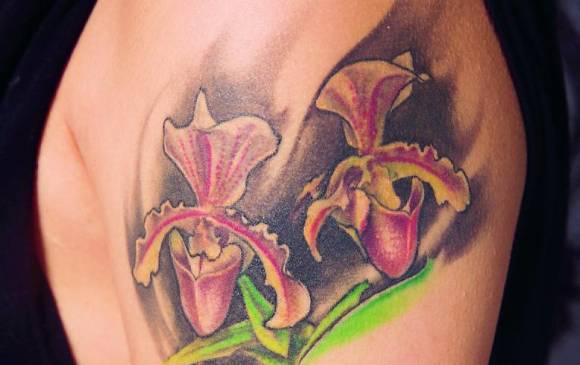 Orquídeas y rosas, las flores más populares en la convocatoria. <span style="text-transform:uppercase">Fotos </span><b><span style="text-transform:uppercase">cortesía:</span></b><span style="text-transform:uppercase"> </span><b><span style="text-transform:uppercase">Salomé Correa, Rodrigo Londoño y Leidy Corrales.</span></b> Orquídeas y rosas, las flores más populares en la convocatoria. <span style="text-transform:uppercase">Fotos </span><b><span style="text-transform:uppercase">cortesía:</span></b><span style="text-transform:uppercase"> </span><b><span style="text-transform:uppercase">Salomé Correa, Rodrigo Londoño y Leidy Corrales.</span></b>