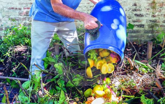 Reciclar como lo hacen los bosques