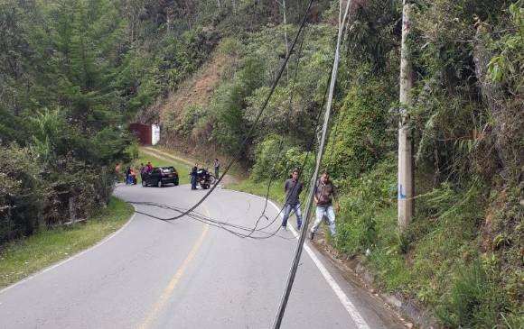 FOTO CORTESÍA GUARDIANES ANTIOQUIA