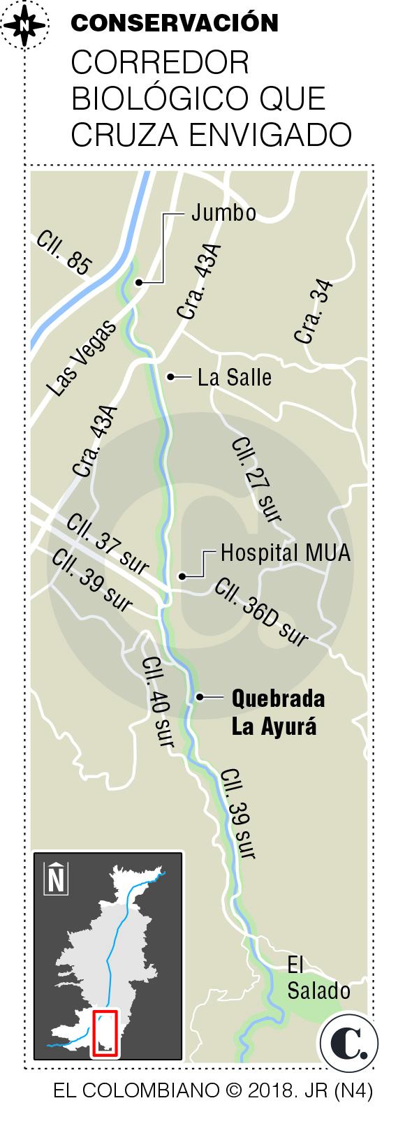 Protección ambiental en la quebrada La Ayurá, Envigado