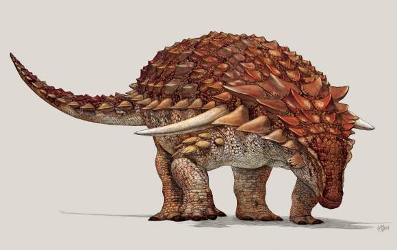 Así era el dinosaurio del que encontraron sus fósiles. La ilustración es del Museo Royal Tyrrell de paleontología en Drumheller (Alberta). Imagen AFP Así era el dinosaurio del que encontraron sus fósiles. La ilustración es del Museo Royal Tyrrell de paleontología en Drumheller (Alberta). Imagen AFP