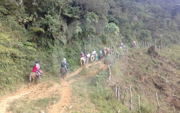 A lomo de mula se desplazaron las familias, para reguardarse de posibles combates. FOTO: Cortesía A lomo de mula se desplazaron las familias, para reguardarse de posibles combates. FOTO: Cortesía