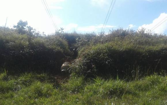 Foto Cortesía Ejército Foto Cortesía Ejército
