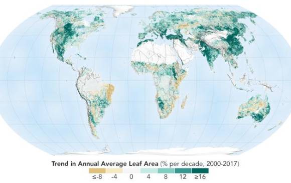 Promedio anual de área verde en el mundo, desde 2000 hasta 2017. Foto: Nasa