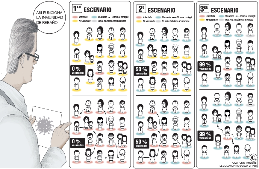 Inmunidad de rebaño, ¿eso funciona? Inmunidad de rebaño, ¿eso funciona?