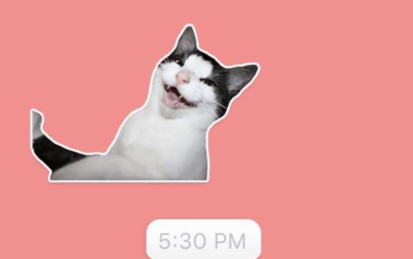Foto: Captura de pantalla Whatsapp. Foto: Captura de pantalla Whatsapp.