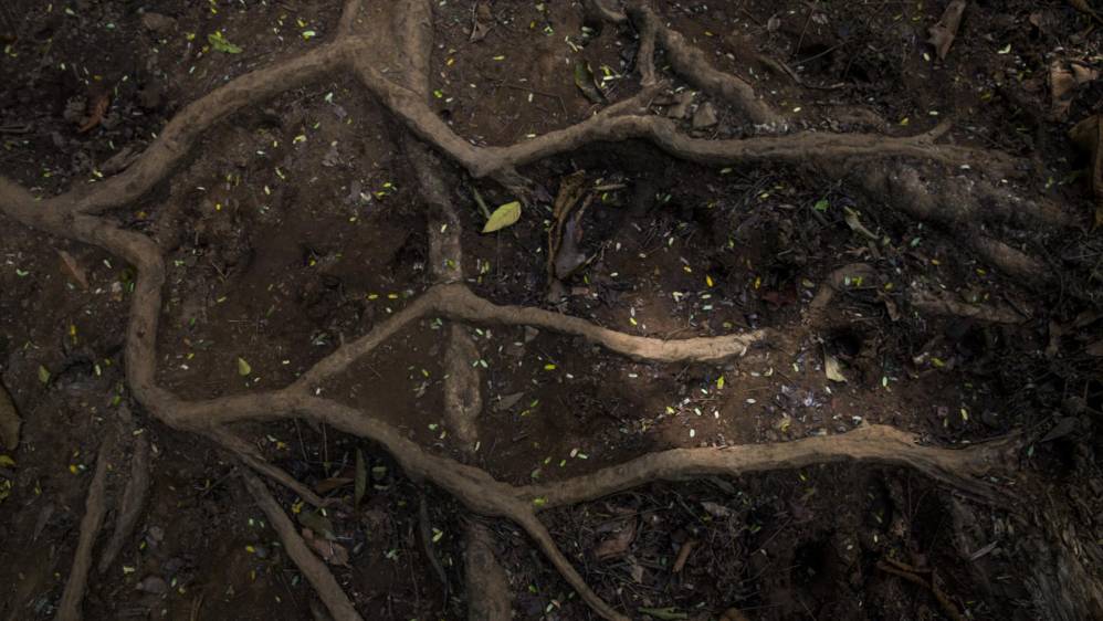 Los caminos que cruzan son de gran dificultad por los valles que forman la cordillera del Tapón, en época de lluvias la dificultad se incrementa por la creciente de los ríos y lo pantanoso del terreno. Foto: Esteban Vanegas
