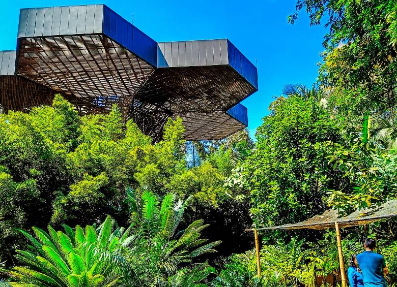 10 curiosidades para ver en el Jardín Botánico