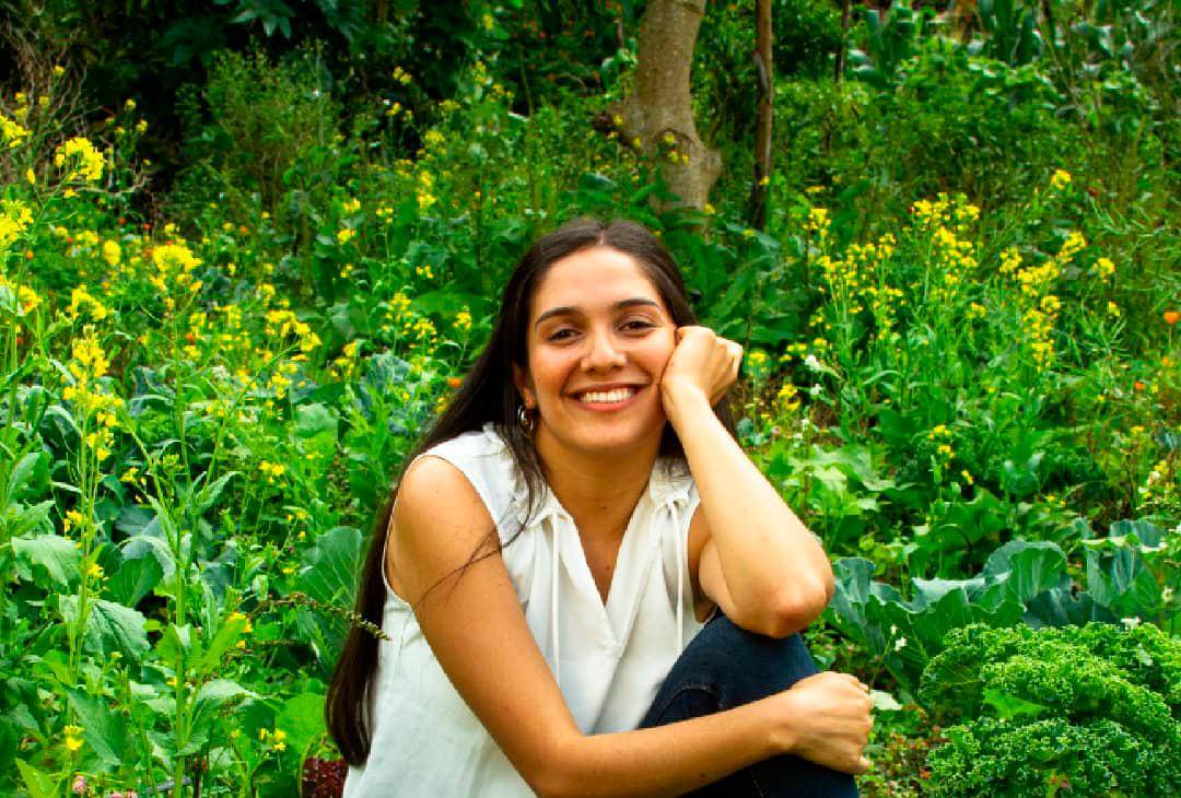 Naturaleza que resiste en la ciudad