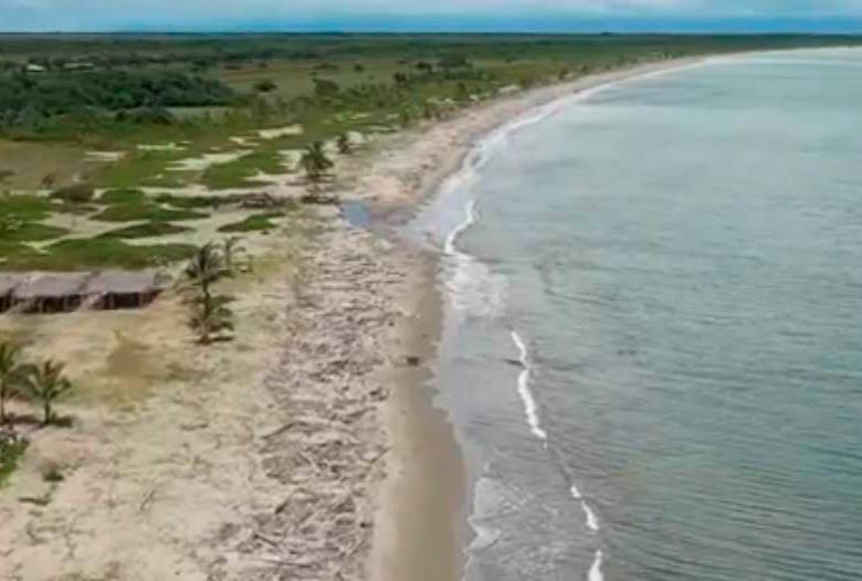 En Necoclí cierran unas playas para proteger cuatro especies de tortugas marinas