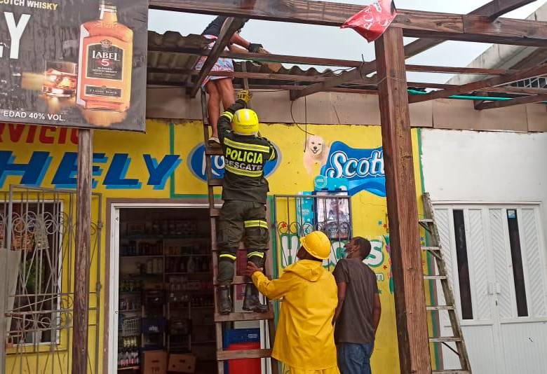 Miembros de la Policía apoyan a la comunidad para despejar vías, remover escombros y árboles que impiden el traslado entre los sectores de la isla tras el paso del huracán Julia. FOTO: CORTESÍA POLICÍA
