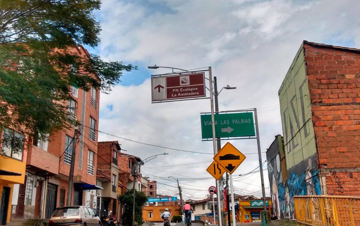 Camino del Sur: un recorrido por el centro de Ignacio Piedrahita