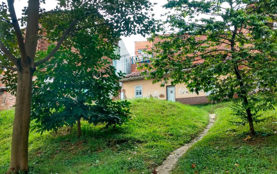 Camino del Sur: un recorrido por el centro de Ignacio Piedrahita