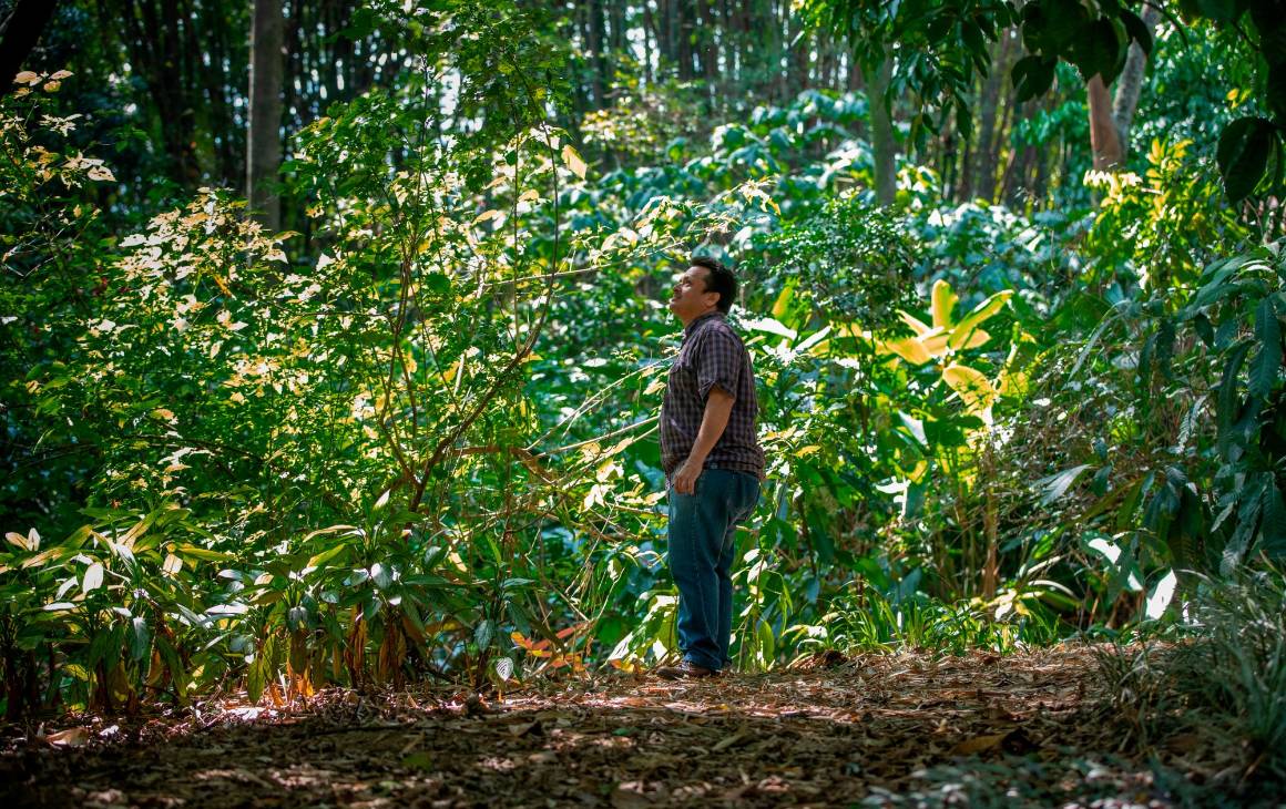 Álvaro Idárraga es el líder del Herbario del Jardín Botánico de Medellín. Foto: Camilo Suárez. 