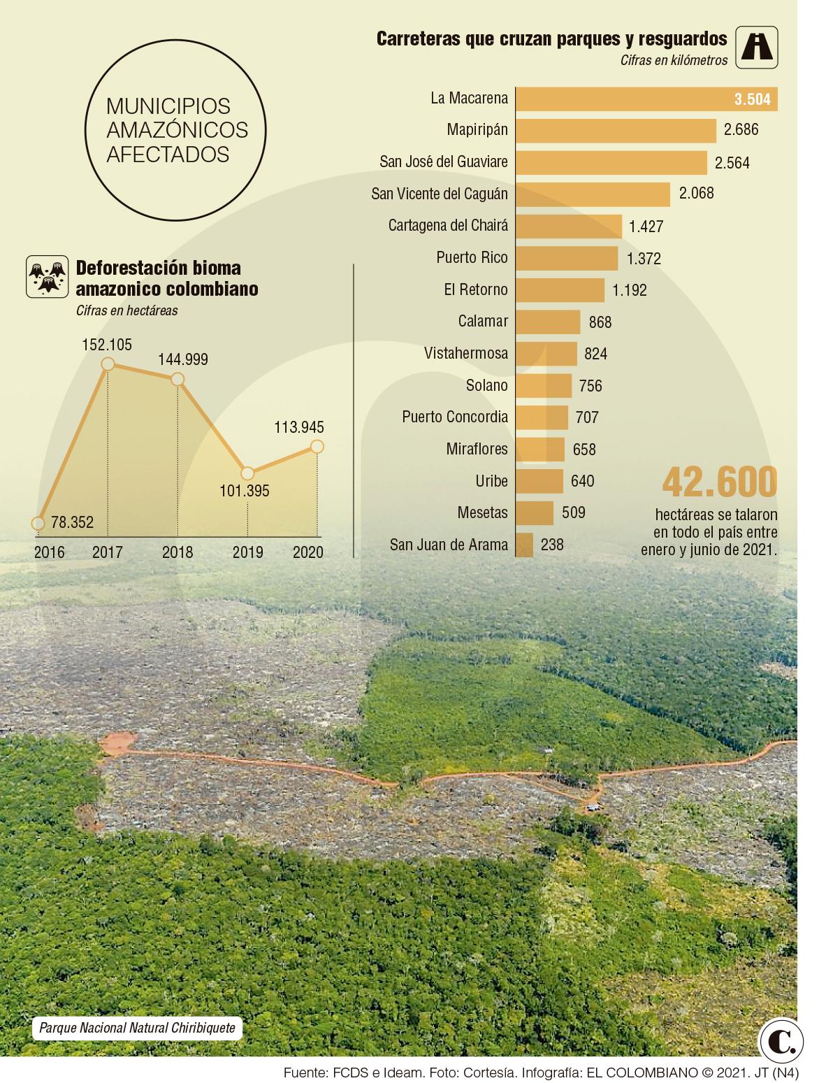 InfogrÃ¡fico