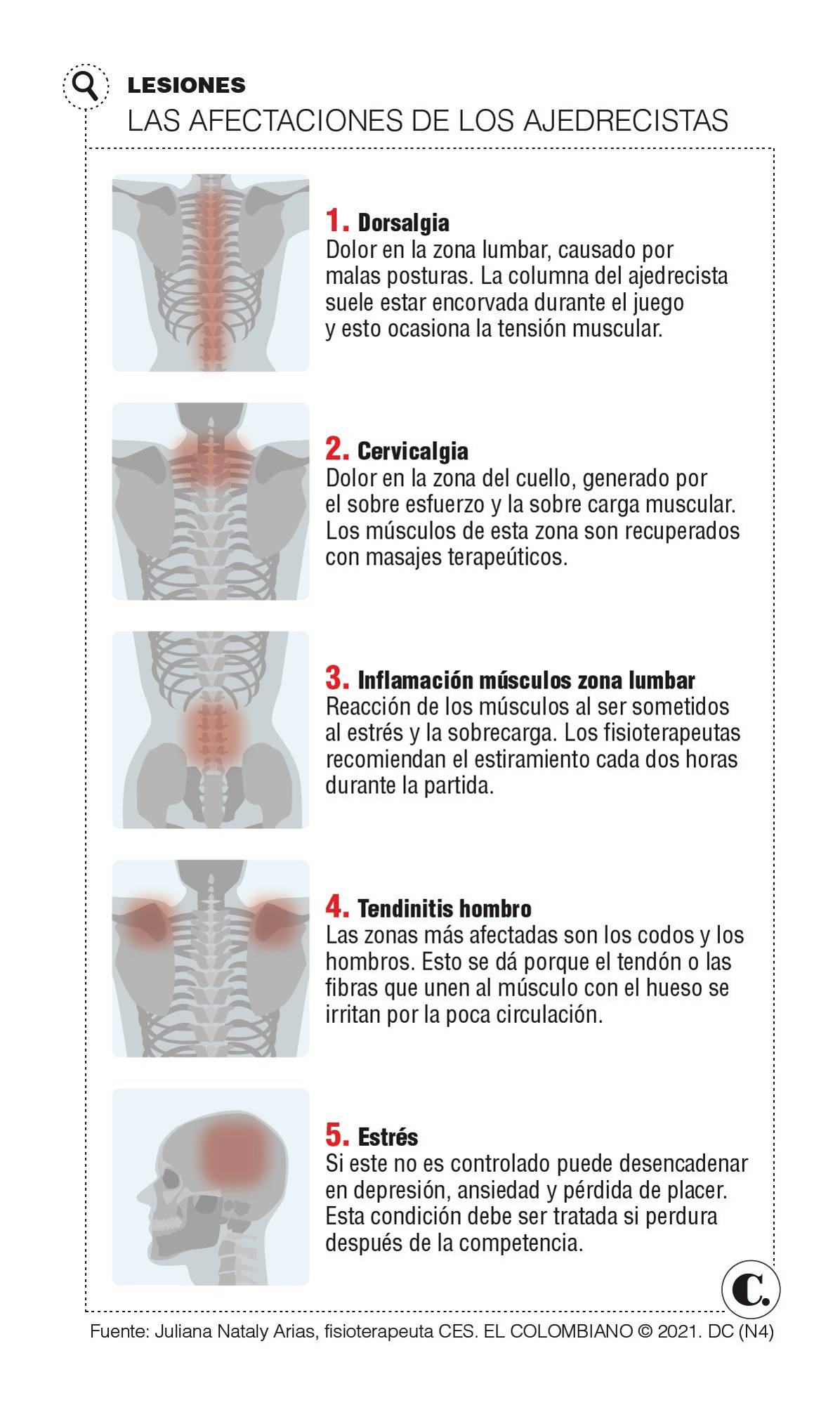 InfogrÃ¡fico