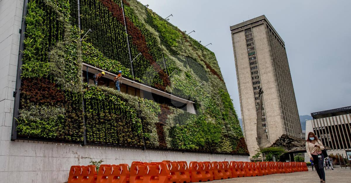 Jardines verticales reverdecen fachada del Concejo de Medellín