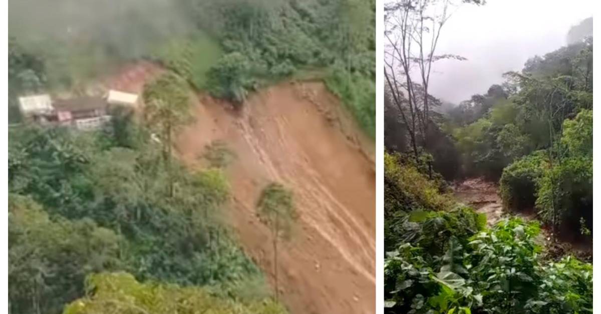 Caos por fuertes lluvias en Támesis: creciente estuvo a punto de llevarse puente que comunica a 5.000 campesinos