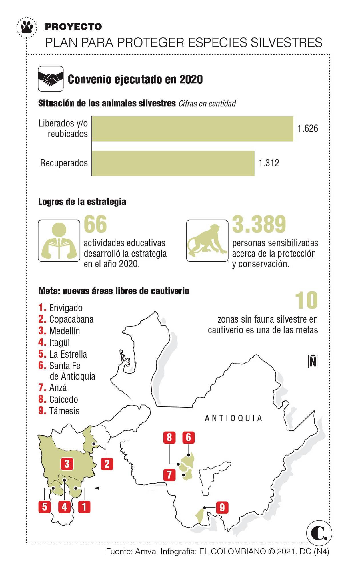 InfogrÃ¡fico