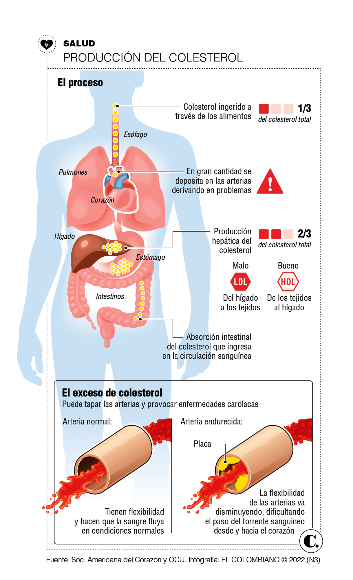 InfogrÃ¡fico