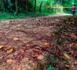 Autoridades investigan el asesinato de una mujer de 75 años en zona rural de Dolores, Tolima. AFoto: Juan Antonio Sánchez.