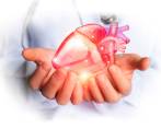 Los chequeos médicos le ayudarán a monitorear su corazón. FOTO sstock