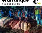 ¿Quién responde en accidente contra hipopótamo?