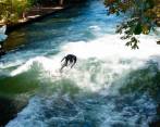 ¿Te apetece surfear en medio de la ciudad?