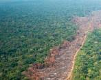 Así se ve este sábado la Serranía de Chiribiquete, en Guaviare, donde se registran incendios que tienen en riesgo a medio país. Foto: Cortesía 