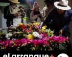 Escuche: La herencia silletera que florece cada agosto en Santa Elena