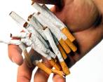 En el mundo hay tres millones de hectáreas de tierra en más de 120 países que se utilizan para cultivar tabaco. FOTO: Archivo EC