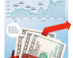 El precio del dólar está en su máximo histórico. FOTO: Carlos Velásquez