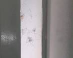 Así quedó uno de los tres ventalaes del laboratorio afectados por la pedrea. FOTO: Cortesía.