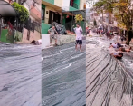 Estas son algunas de las escenas que se pueden ver de la curiosa. Fotos: pantallazos sacados de instagram @yoamoamedellin