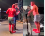 En la imagen el fan de Silvestre que se subió a la tarima. Foto: pantallazos tomados de redes sociales. 