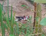El hombre fue hallado cerca del lecho del río Tapartó. FOTO: Cortesía.