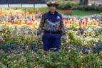 María Roció Gómez de 60 años de edad y 14 años laborando en el Jardín Botánico. Foto: Manuel Saldarriaga Quintero.